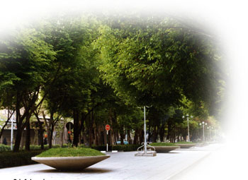 chahar-bagh